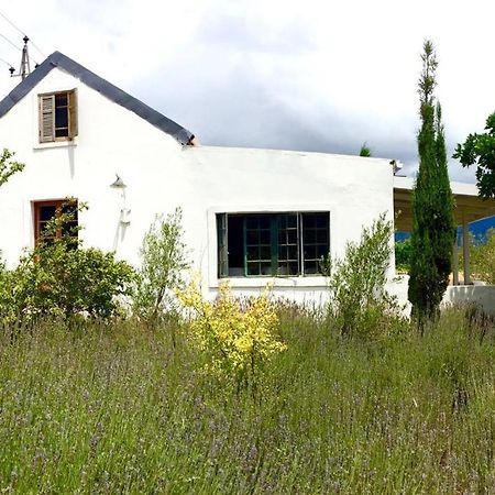 Designer Farm Cottage On Farm フランシュホーク エクステリア 写真