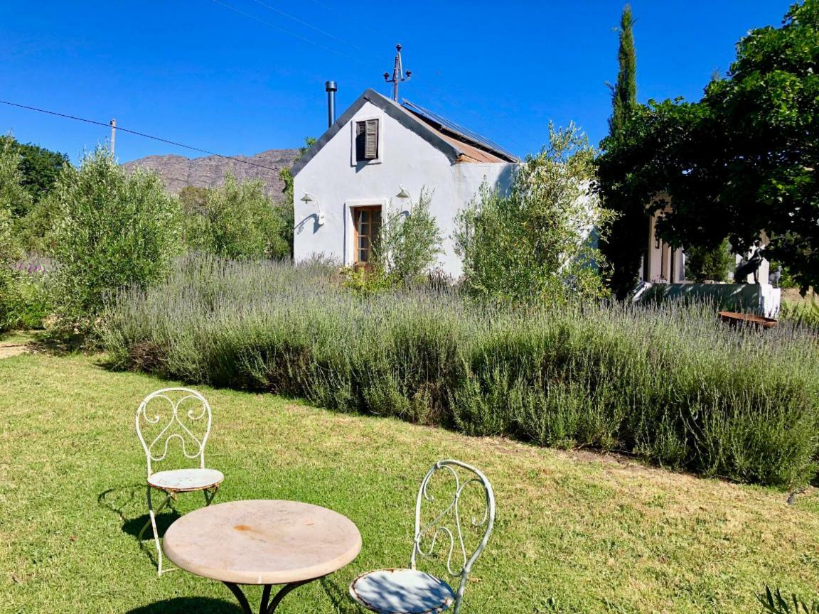 Designer Farm Cottage On Farm フランシュホーク エクステリア 写真