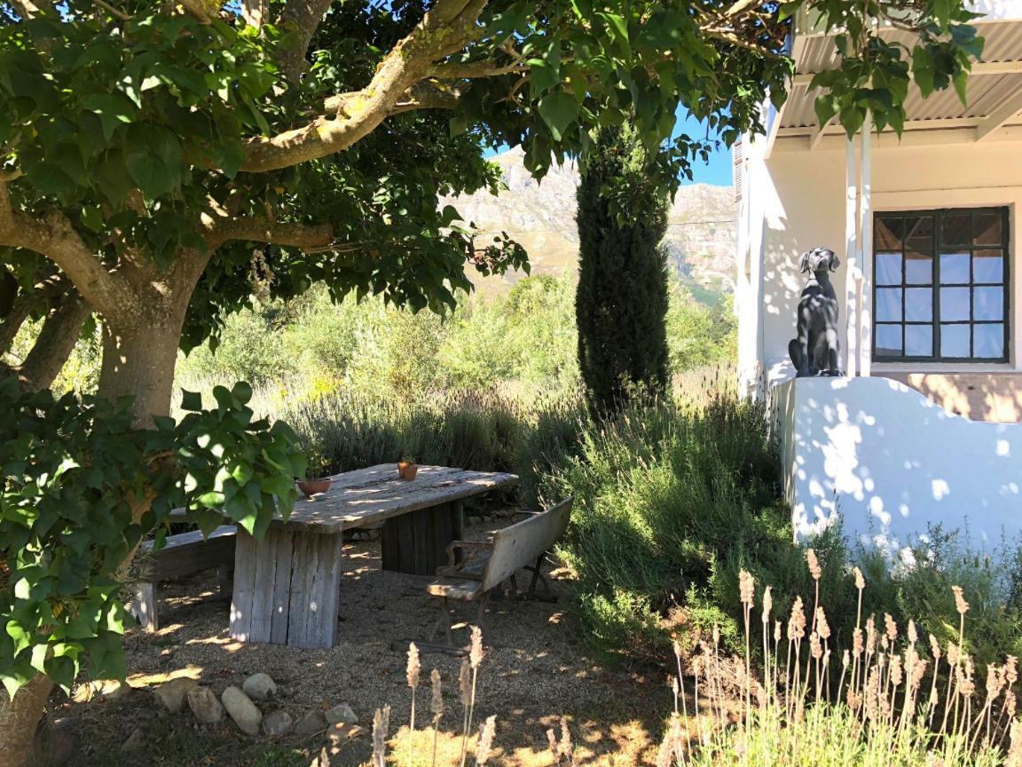 Designer Farm Cottage On Farm フランシュホーク エクステリア 写真